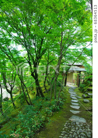 日本庭園 68364513