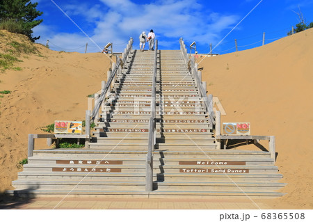 【鳥取県】晴天下の鳥取砂丘入口 【鳥取県】晴天下の鳥取砂丘入口 68365508