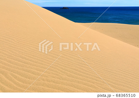 鳥取県 晴天下の鳥取砂丘の写真素材