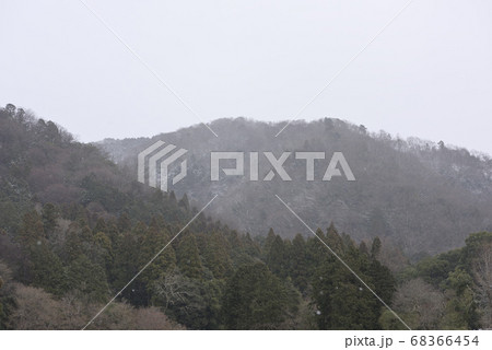 修学院離宮 比叡山麓と松並木と田園風景 修学院離宮 比叡山麓と松並木と田園風景 68366454