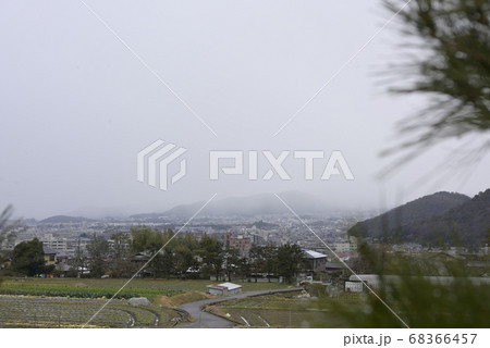 修学院離宮　比叡山麓と松並木と田園風景 68366457