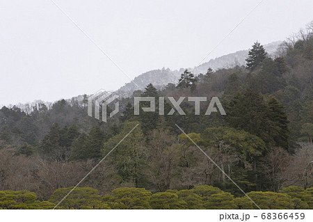 修学院離宮　比叡山麓と松並木と田園風景 68366459