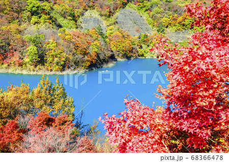 紅葉の稲包せせらぎ公園から奥四万湖 68366478