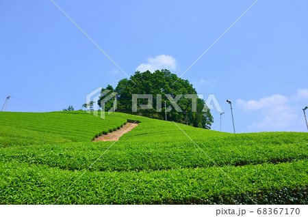 太鼓山古墳 和束の茶畑 太鼓山古墳 和束の茶畑 68367170