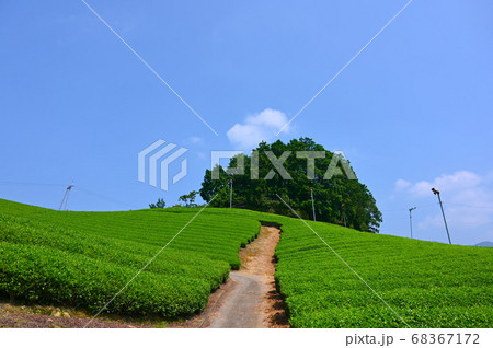 太鼓山古墳 和束の茶畑 太鼓山古墳 和束の茶畑 68367172