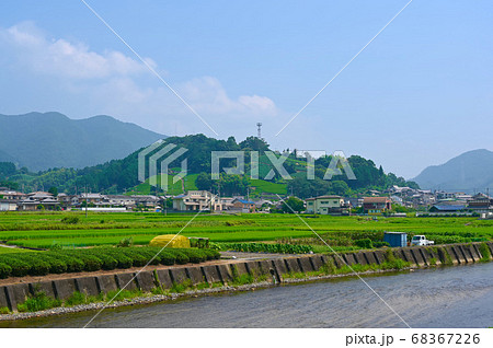 釜塚の茶畑 68367226