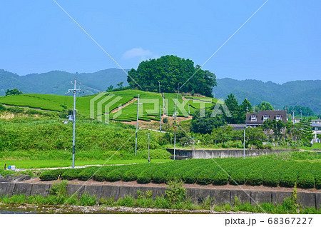 太鼓山古墳　和束の茶畑 68367227