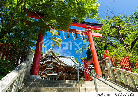 高尾山登山道　飯縄権現社へ続く階段と鳥居 68367635