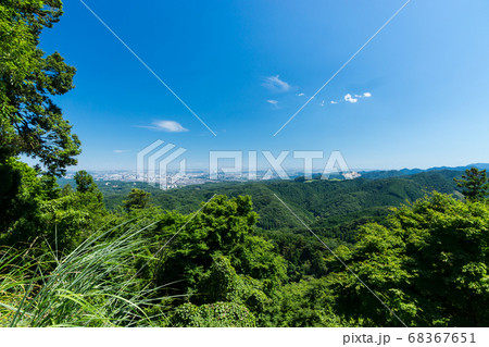 高尾山登山道からの遥かな見晴らし 68367651