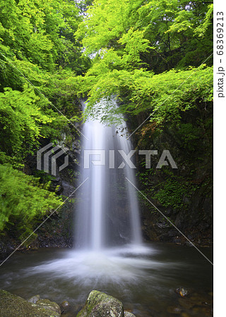 白藤の滝（三重県伊賀市） 68369213