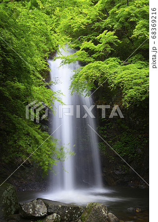 白藤の滝（三重県伊賀市） 68369216