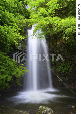 白藤の滝（三重県伊賀市） 68369219