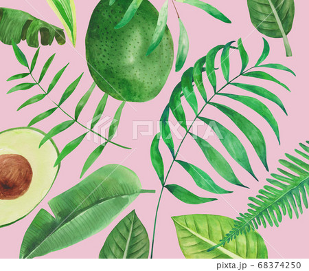 背景 葉 木の葉のイラスト素材