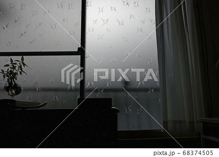 窓越しの手すりにとまる鳥の写真素材 68374505 Pixta