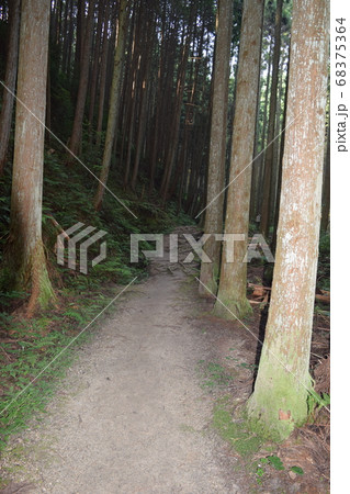 天乃石立神社 参道 柳生街道 天乃石立神社 参道 柳生街道 68375364