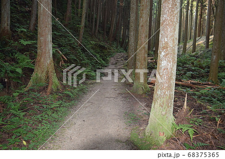 天乃石立神社 参道 柳生街道 天乃石立神社 参道 柳生街道 68375365