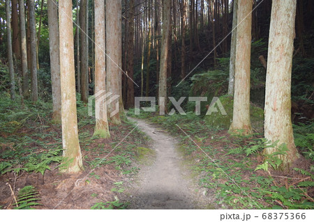 天乃石立神社　参道　柳生街道 68375366