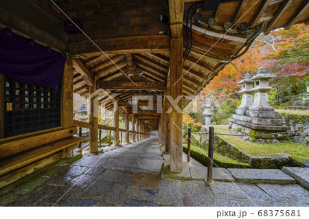 奈良 秋の長谷寺、蔵王堂から見る中登廊 奈良 秋の長谷寺、蔵王堂から見る中登廊 68375681