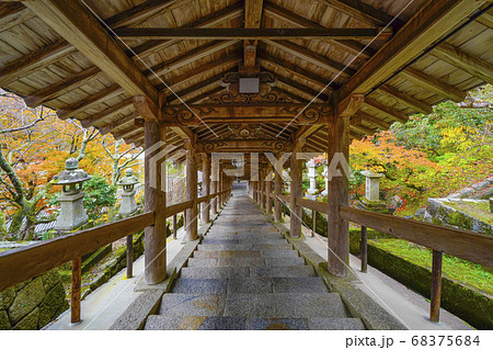 奈良 秋の長谷寺、蔵王堂から見る中登廊 奈良 秋の長谷寺、蔵王堂から見る中登廊 68375684