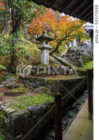 奈良 秋の長谷寺 中登廊から見る紅葉の写真素材 6756