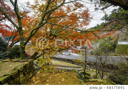 奈良 秋の長谷寺、中登廊から見る紅葉と下登廊 奈良 秋の長谷寺、中登廊から見る紅葉と下登廊 68375691