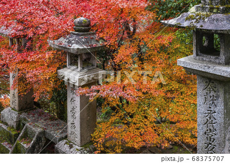 奈良 秋の長谷寺 上登廊から見る紅葉の写真素材