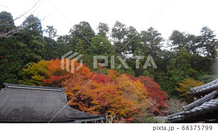 美しい紅葉と古民家の秋 美しい紅葉と古民家の秋 68375799