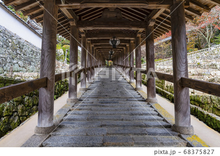 奈良 秋の長谷寺、下登廊 奈良 秋の長谷寺、下登廊 68375827