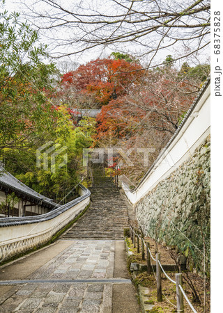 奈良 秋の長谷寺、下登廊から見る本坊大講堂への参道 奈良 秋の長谷寺、下登廊から見る本坊大講堂への参道 68375828
