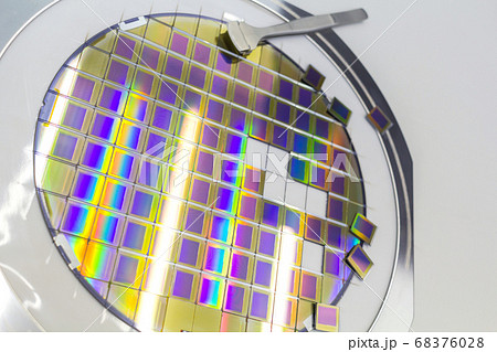 Silicon wafer with microchips, fixed in a holder Silicon wafer with microchips, fixed in a holder 68376028