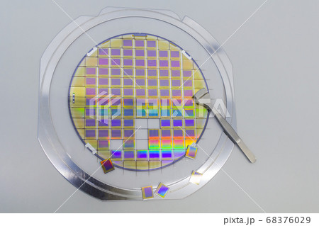Silicon wafer with microchips, fixed in a holder Silicon wafer with microchips, fixed in a holder 68376029