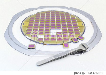 Silicon wafer with microchips, fixed in a holder 68376032