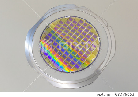 Silicon wafer with microchips fixed in the holder 68376053