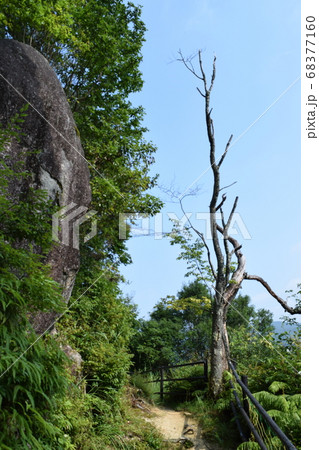 鹿鷺山 笠置寺 巨石 遊歩道 鹿鷺山 笠置寺 巨石 遊歩道 68377160