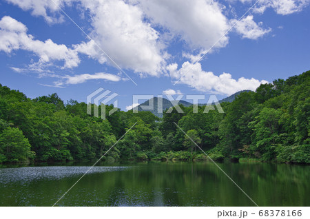 夏の仙人池 妙高笹ヶ峰高原の写真素材