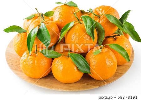 紀州産完熟ポンカン 68378191