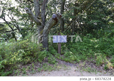 鹿鷺山 笠置寺　二の丸跡 68378228