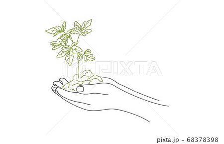Ground with sprout in hands. 68378398