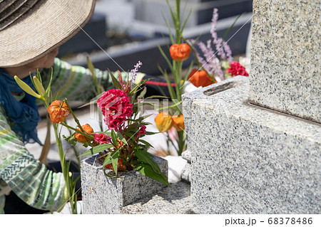 墓参り お墓に花を供えるシニア女性の写真素材
