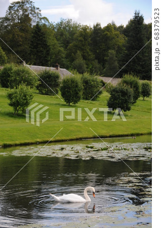 イギリス、ピトロホリー、ブレア城、ヘラクレス・ガーデン 68379523