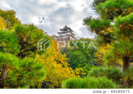 日本の100名城、丸亀城(香川県丸亀市一番丁)※作品コメント欄に撮影位置 日本の100名城、丸亀城(香川県丸亀市一番丁)※作品コメント欄に撮影位置 68380675