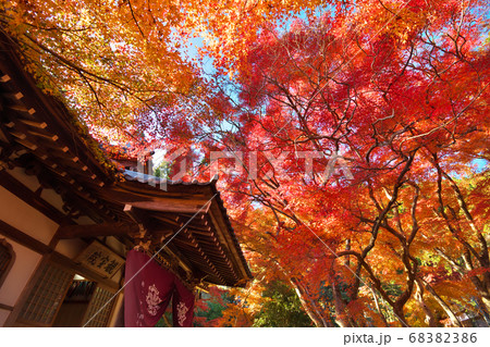 玉龍寺　観宝院　紅葉　岐阜県下呂市 68382386