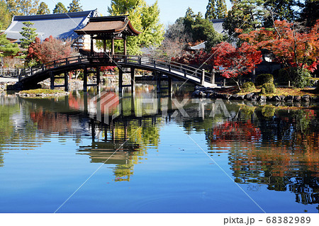 虎渓山永保寺の紅葉 (岐阜県多治見市) 虎渓山永保寺の紅葉 (岐阜県多治見市) 68382989
