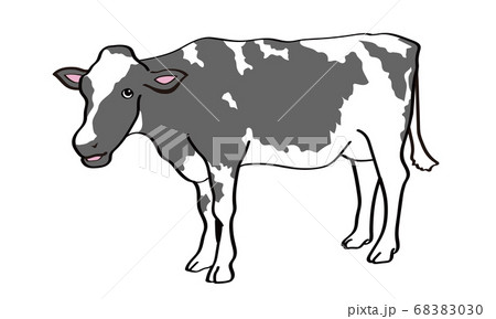 横から見た白黒の牛の立ち姿のイラスト素材 6030