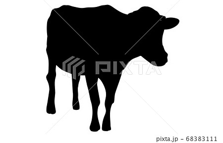 正面から見た牛の立ち姿 シルエット のイラスト素材 6111
