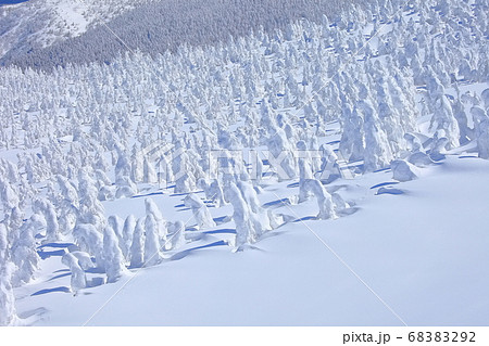 【山形県】晴天下の蔵王樹氷群 【山形県】晴天下の蔵王樹氷群 68383292