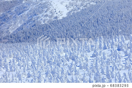 【山形県】晴天下の蔵王樹氷群 【山形県】晴天下の蔵王樹氷群 68383293