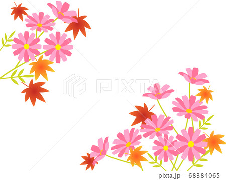 秋の花 ピンク色のコスモスの背景フレームのイラスト素材