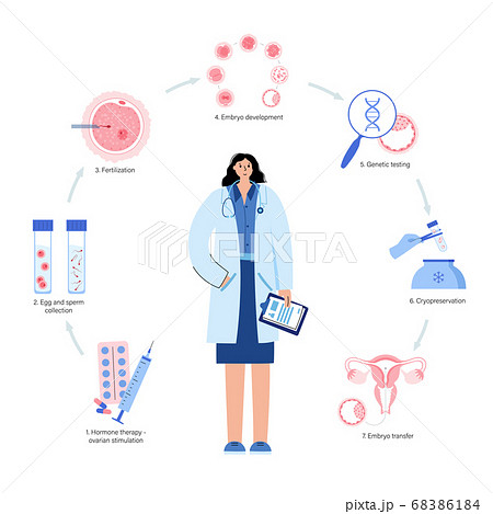 Human fertility vector 68386184