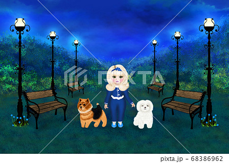 Blonde girl walks two dogs in a beautiful night Blonde girl walks two dogs in a beautiful night 68386962